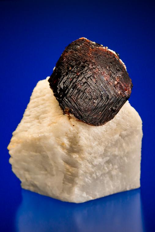 Garnet on MICROCLINE